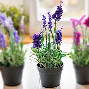 Искусственные цветы ЛАВАНДА в горшке, фиолетовые, полиэстер, 25 см