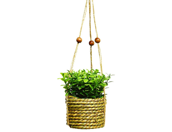 Искусственное растение COZY GREENS в подвесном джутовом кашпо, пластик, 8х12 см