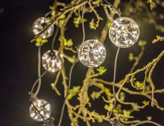 Гирлянда из лампочек BULBS BALLS, 10 тёплых белых LED-огней, 2.7+3 м, чёрный провод, уличная