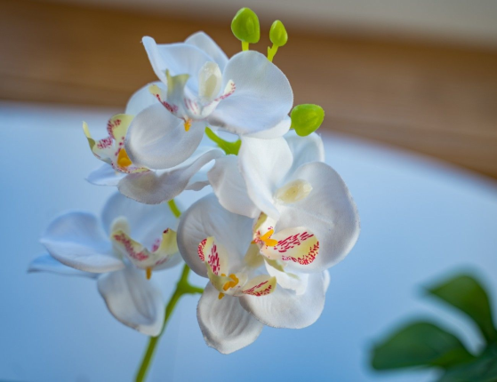 Искусственное растение в горшке ОРХИДЕЯ, полиэстер, белая, 40 см