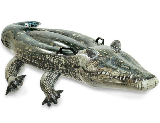 Надувная игрушка Крокодил INTEX, 170 х 86 см, от 3 лет